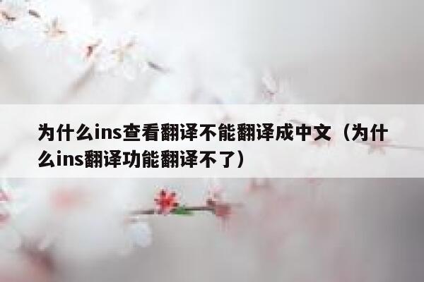 为什么ins查看翻译不能翻译成中文（为什么ins翻译功能翻译不了） 第1张