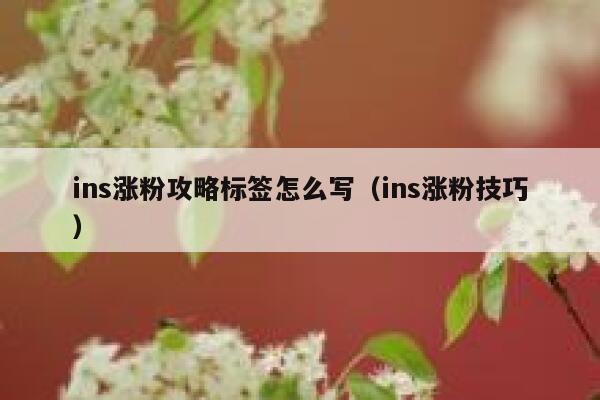 ins涨粉攻略标签怎么写（ins涨粉技巧） 第1张