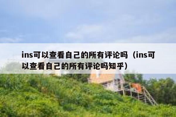 ins可以查看自己的所有评论吗（ins可以查看自己的所有评论吗知乎） 第1张