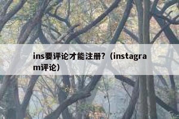 ins要评论才能注册?(instagram评论) 第1张 ins要评论才能注册?(instagram评论) 第1张