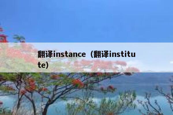 翻译instance（翻译institute） 第1张