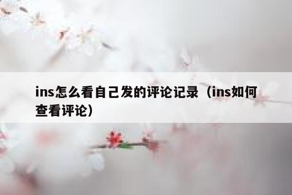 ins怎么看自己发的评论记录（ins如何查看评论） 第1张