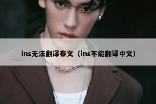 ins无法翻译泰文（ins不能翻译中文） 第1张