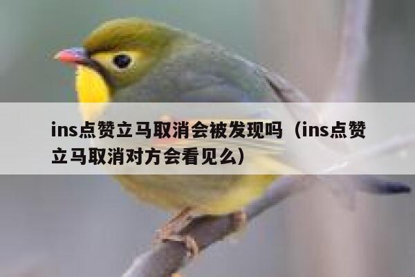 ins点赞立马取消会被发现吗（ins点赞立马取消对方会看见么） 第1张