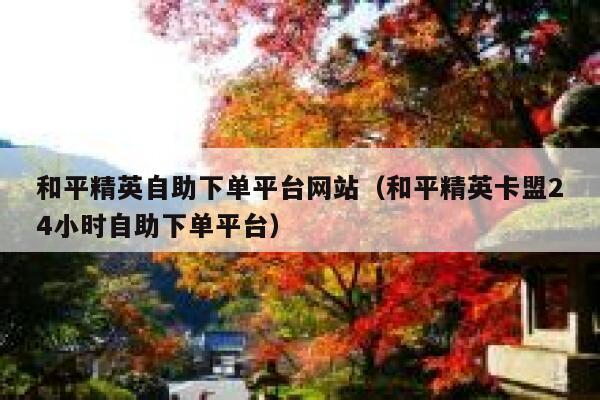 和平精英自助下单平台网站（和平精英卡盟24小时自助下单平台） 第1张