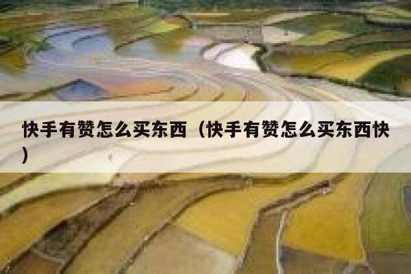 快手有赞怎么买东西（快手有赞怎么买东西快） 第1张