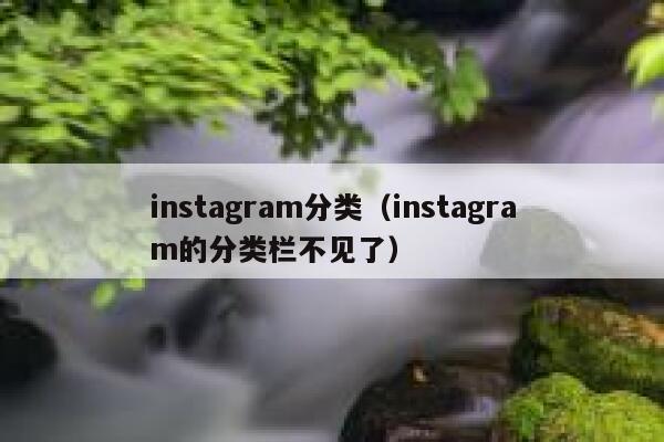 instagram分类（instagram的分类栏不见了） 第1张