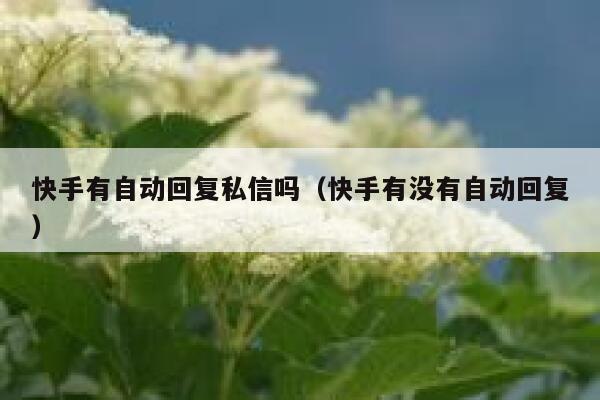 快手有自动回复私信吗（快手有没有自动回复） 第1张