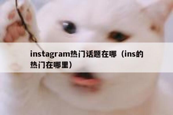 instagram热门话题在哪（ins的热门在哪里） 第1张