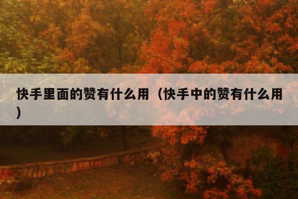 快手里面的赞有什么用（快手中的赞有什么用） 第1张