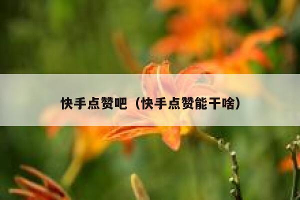 快手点赞吧（快手点赞能干啥） 第1张