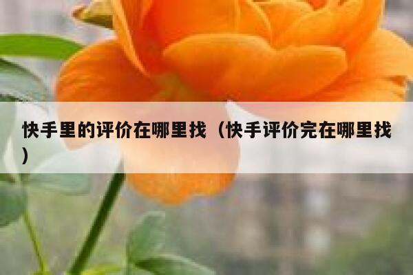 快手里的评价在哪里找（快手评价完在哪里找） 第1张