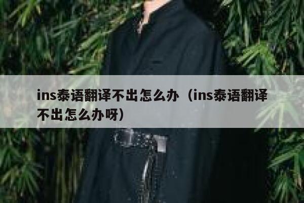 ins泰语翻译不出怎么办（ins泰语翻译不出怎么办呀） 第1张