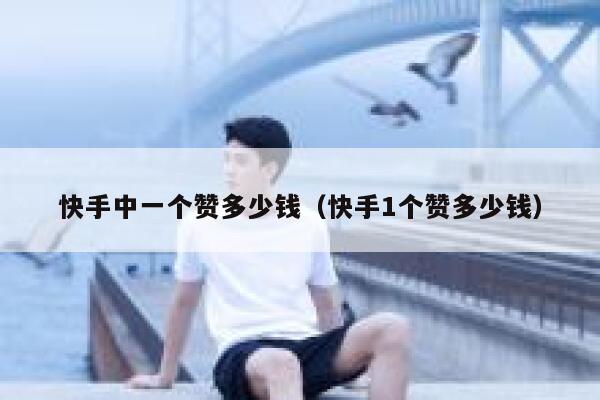 快手中一个赞多少钱（快手1个赞多少钱） 第1张