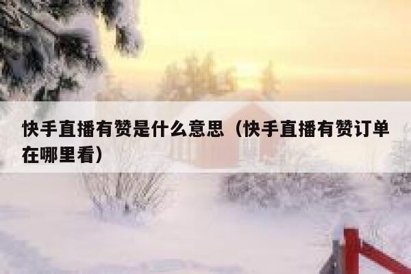 快手直播有赞是什么意思（快手直播有赞订单在哪里看） 第1张