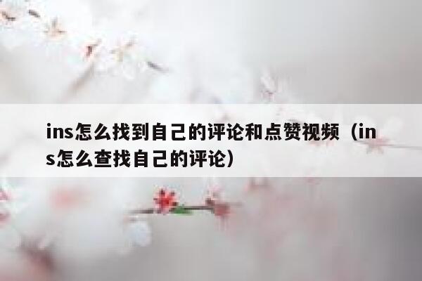 ins怎么找到自己的评论和点赞视频（ins怎么查找自己的评论） 第1张