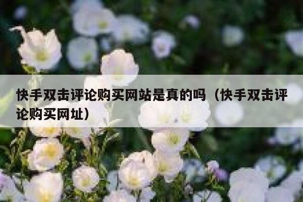快手双击评论购买网站是真的吗（快手双击评论购买网址） 第1张