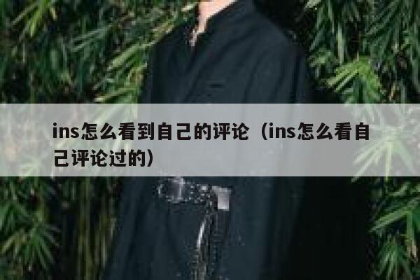 ins怎么看到自己的评论（ins怎么看自己评论过的） 第1张