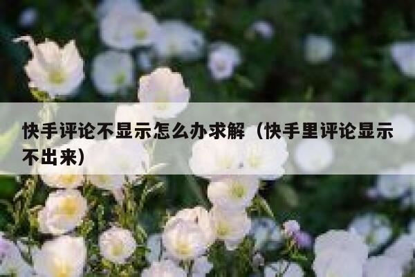 快手评论不显示怎么办求解(快手里评论显示不出来) 第1张 快手评论不显示怎么办求解(快手里评论显示不出来) 第1张