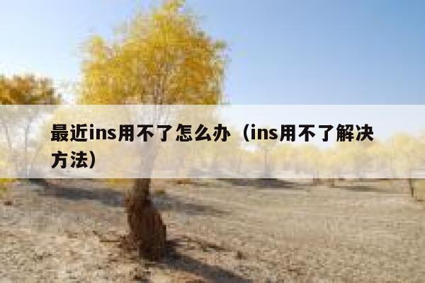 最近ins用不了怎么办（ins用不了解决方法） 第1张