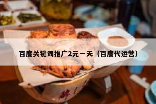 百度关键词推广2元一天(百度代运营) 第1张 百度关键词推广2元一天(百度代运营) 第1张
