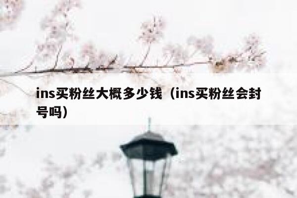 ins买粉丝大概多少钱（ins买粉丝会封号吗） 第1张