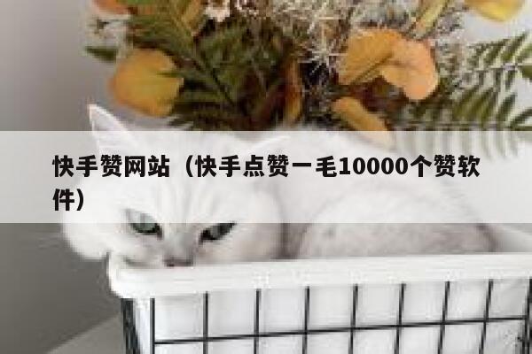 快手赞网站（快手点赞一毛10000个赞软件） 第1张