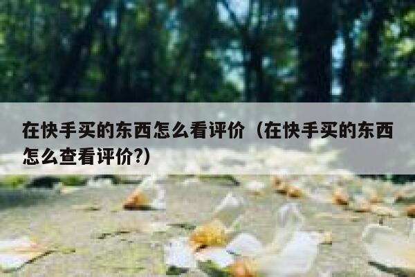 在快手买的东西怎么看评价（在快手买的东西怎么查看评价?） 第1张
