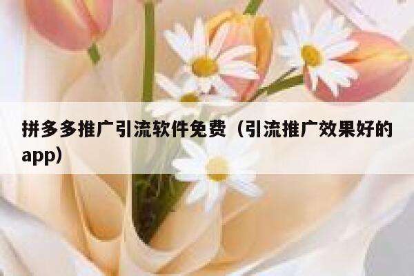 拼多多推广引流软件免费（引流推广效果好的app） 第1张