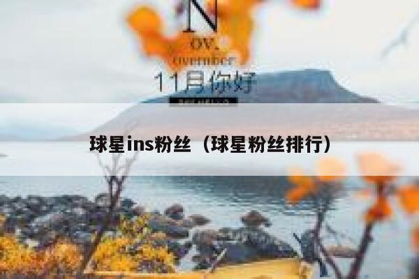 球星ins粉丝（球星粉丝排行） 第1张