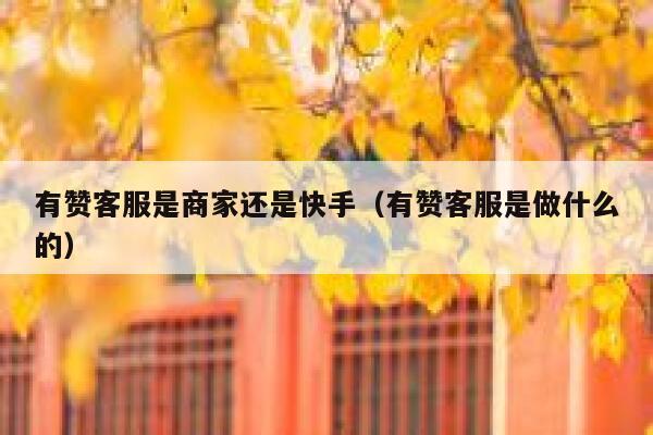 有赞客服是商家还是快手（有赞客服是做什么的） 第1张