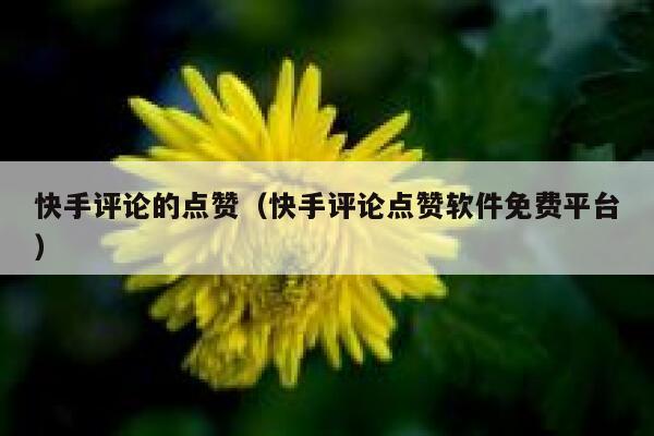 快手评论的点赞(快手评论点赞软件免费平台) 第1张 快手评论的点赞(快手评论点赞软件免费平台) 第1张