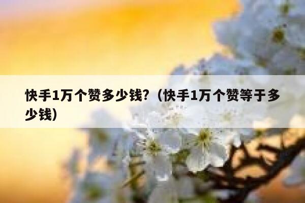 快手1万个赞多少钱?(快手1万个赞等于多少钱) 第1张 快手1万个赞多少钱?(快手1万个赞等于多少钱) 第1张