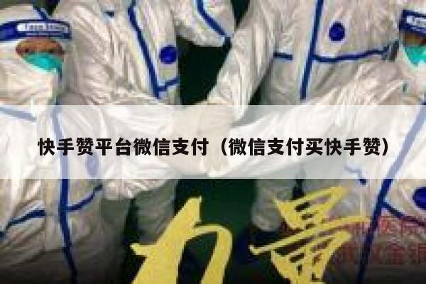 快手赞平台微信支付（微信支付买快手赞） 第1张