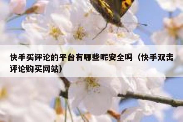快手买评论的平台有哪些呢安全吗（快手双击评论购买网站） 第1张