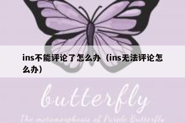 ins不能评论了怎么办（ins无法评论怎么办） 第1张