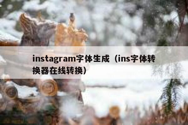 instagram字体生成（ins字体转换器在线转换） 第1张