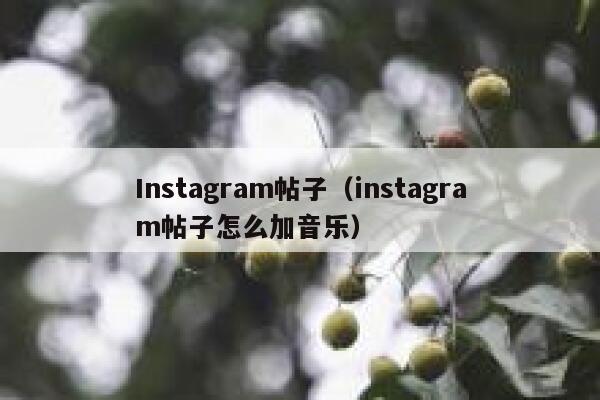 Instagram帖子（instagram帖子怎么加音乐） 第1张