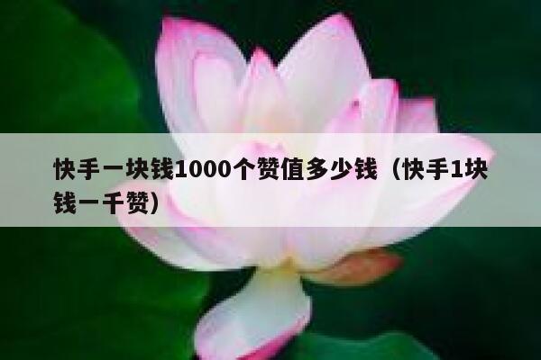 快手一块钱1000个赞值多少钱（快手1块钱一千赞） 第1张