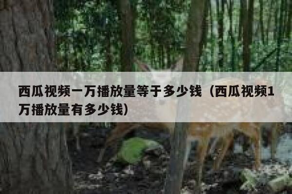 西瓜视频一万播放量等于多少钱（西瓜视频1万播放量有多少钱） 第1张