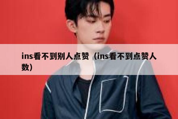 ins看不到别人点赞（ins看不到点赞人数） 第1张