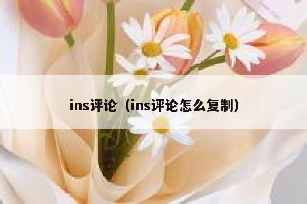 ins评论(ins评论怎么复制) 第1张 ins评论(ins评论怎么复制) 第1张