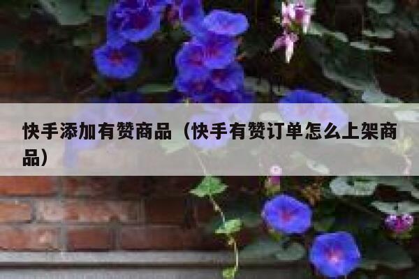 快手添加有赞商品(快手有赞订单怎么上架商品) 第1张 快手添加有赞商品(快手有赞订单怎么上架商品) 第1张