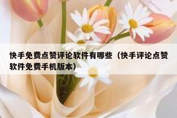 快手免费点赞评论软件有哪些(快手评论点赞软件免费手机版本) 第1张 快手免费点赞评论软件有哪些(快手评论点赞软件免费手机版本) 第1张