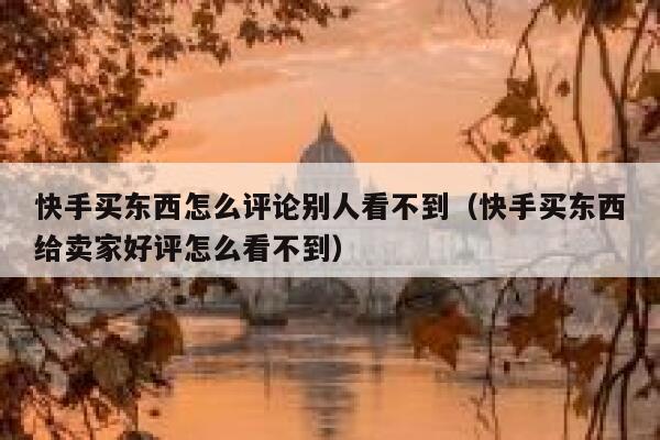 快手买东西怎么评论别人看不到(快手买东西给卖家好评怎么看不到) 第1张 快手买东西怎么评论别人看不到(快手买东西给卖家好评怎么看不到) 第1张
