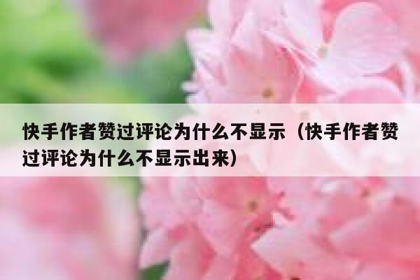 快手作者赞过评论为什么不显示(快手作者赞过评论为什么不显示出来) 第1张 快手作者赞过评论为什么不显示(快手作者赞过评论为什么不显示出来) 第1张