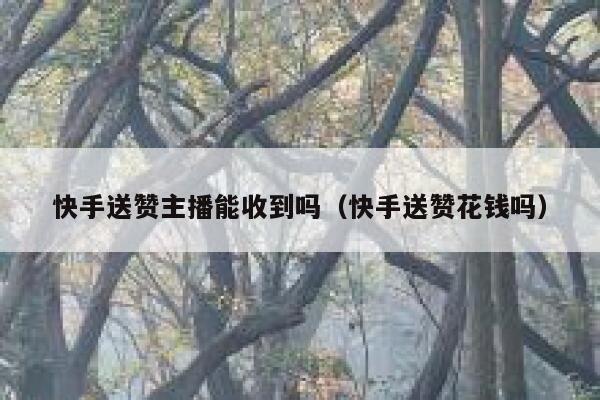 快手送赞主播能收到吗(快手送赞花钱吗) 第1张 快手送赞主播能收到吗(快手送赞花钱吗) 第1张