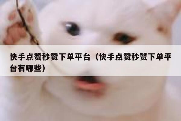 快手点赞秒赞下单平台(快手点赞秒赞下单平台有哪些) 第1张 快手点赞秒赞下单平台(快手点赞秒赞下单平台有哪些) 第1张