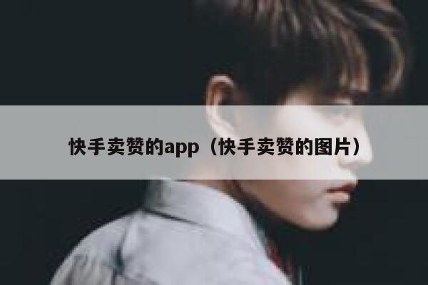 快手卖赞的app（快手卖赞的图片） 第1张