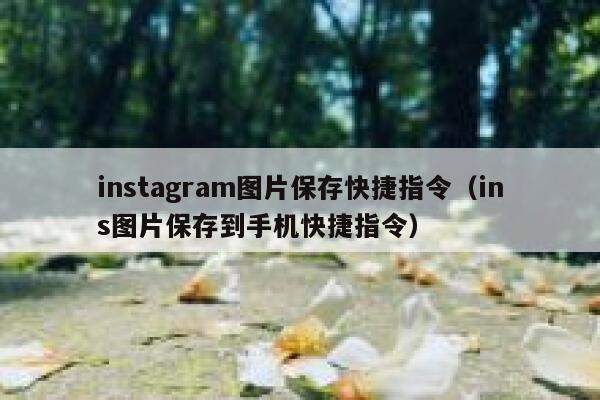 instagram图片保存快捷指令(ins图片保存到手机快捷指令) 第1张 instagram图片保存快捷指令(ins图片保存到手机快捷指令) 第1张